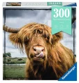 Puzzle Ravensburger 300 dílků Moment: Highlandský skot