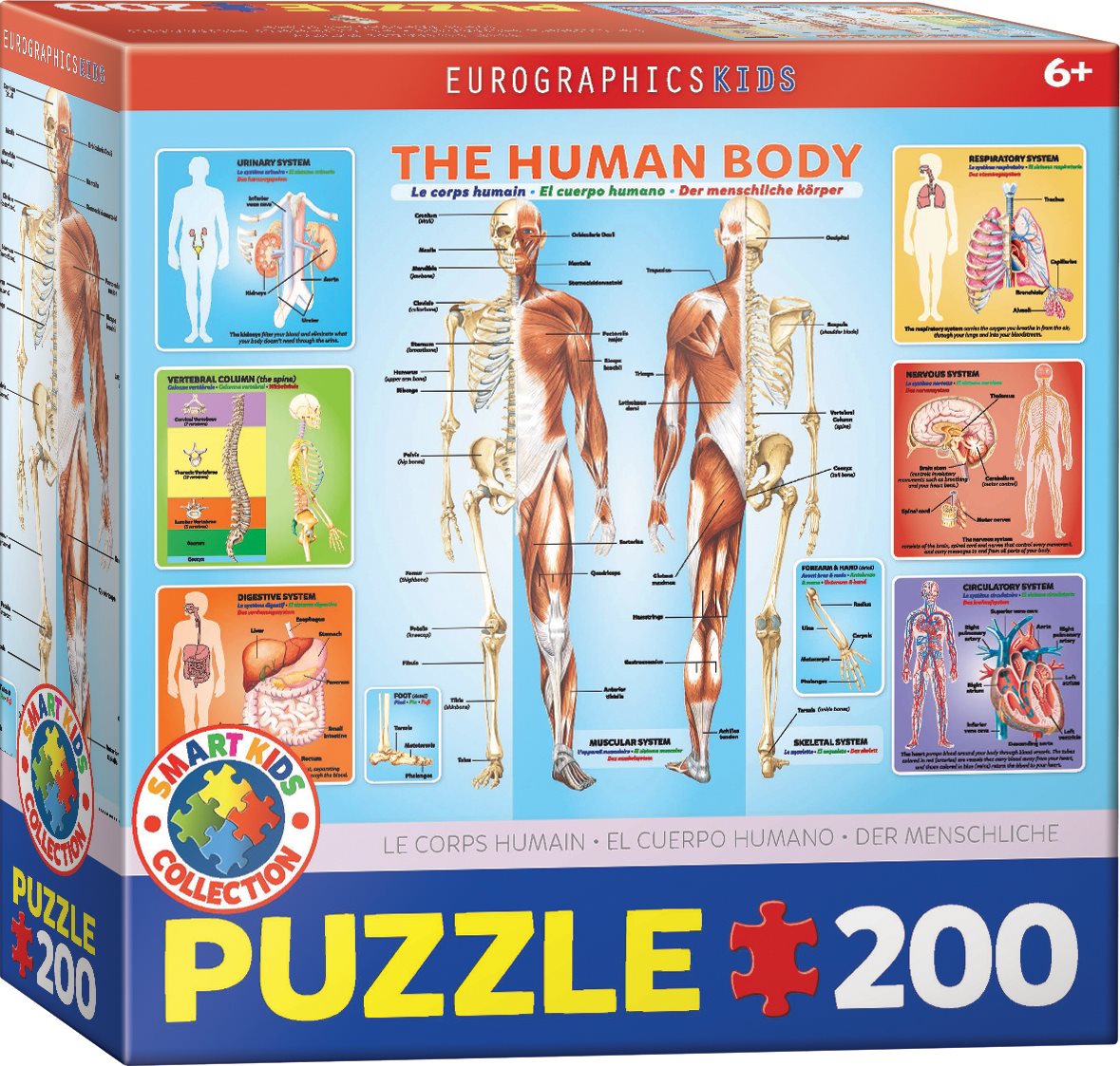 EUROGRAPHICS Puzzle Lidské tělo 200 dílků