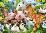 CASTORLAND Puzzle Přátelé na farmě 60 dílků