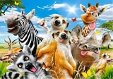 CASTORLAND Puzzle Africké selfie 500 dílků
