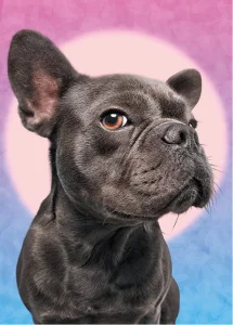 Puzzle Sleduji tě 1000 dílků