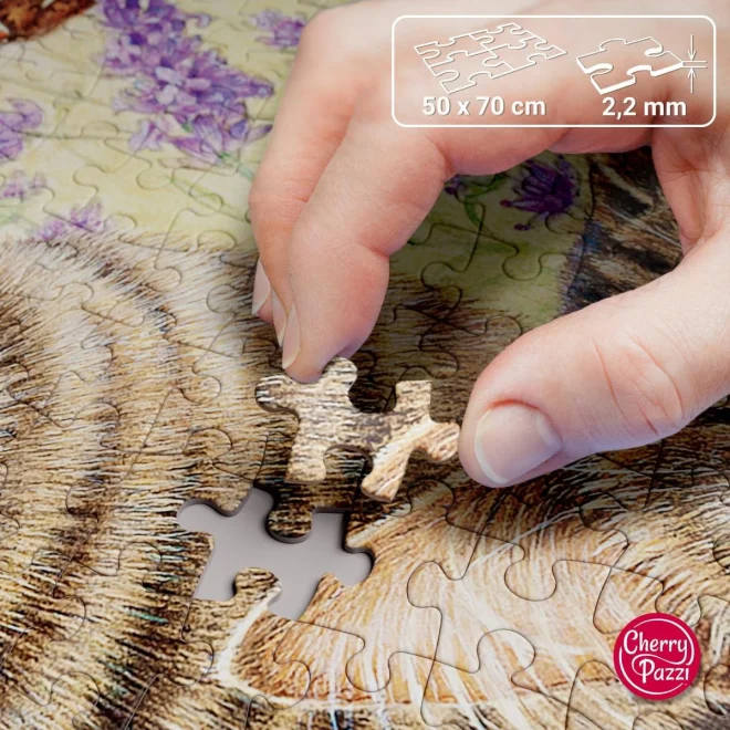 CHERRY PAZZI Puzzle Kočky 1000 dílků