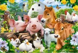CASTORLAND Puzzle Přátelé ze statku MAXI 40 dílků