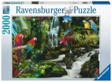 puzzle-barevni-papousci-v-dzungli-2000-dilku-155766.jpg