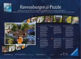 puzzle-jursky-park-1000-dilku-156302.jpg