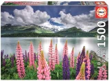 puzzle-lupiny-na-brehu-jezera-sils-svycarsko-1500-dilku-160506.jpg