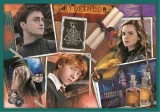 TREFL Puzzle Harry Potter MEGA PACK 10v1