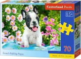 CASTORLAND Puzzle Štěně Francouzského buldočka 70 dílků