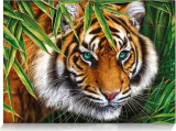 puzzle-tygri-pohled-500-dilku-168713.jpg