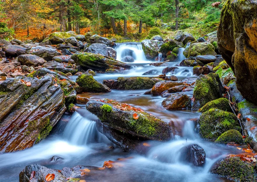 ENJOY Puzzle Lesní říčka na podzim 1000 dílků