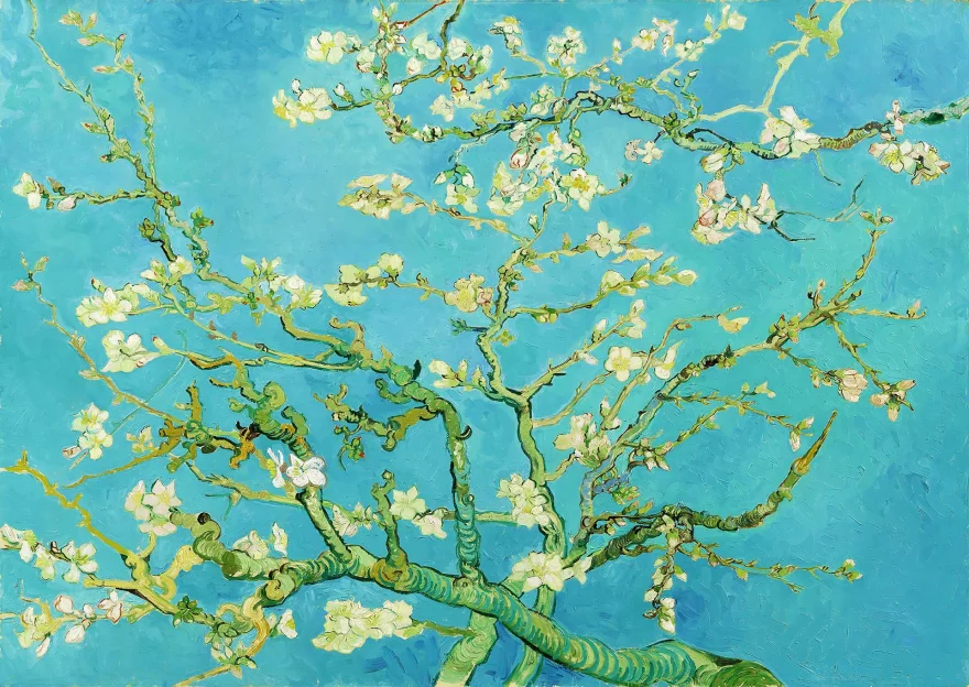 Enjoy Puzzle Vincent Van Gogh: Větev mandlovníku 1000 dílků