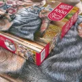 puzzle-kocici-posezeni-1000-dilku-233757.jpg