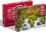 puzzle-lesni-vodopad-1000-dilku-233762.jpg