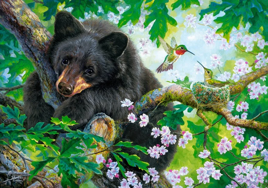 CASTORLAND Puzzle Kéž bych mohl létat 500 dílků
