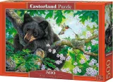 CASTORLAND Puzzle Kéž bych mohl létat 500 dílků
