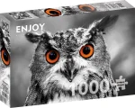 ENJOY Puzzle Zvědavá sova 1000 dílků