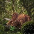 3D puzzle National Geographic: Triceratops 44 dílků