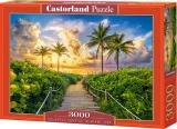 CASTORLAND Puzzle Západ slunce v Miami, USA 3000 dílků