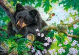 CASTORLAND Puzzle Kéž bych mohl létat 200 dílků