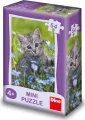 DINO Puzzle Zvířátka - Kotě 54 dílků