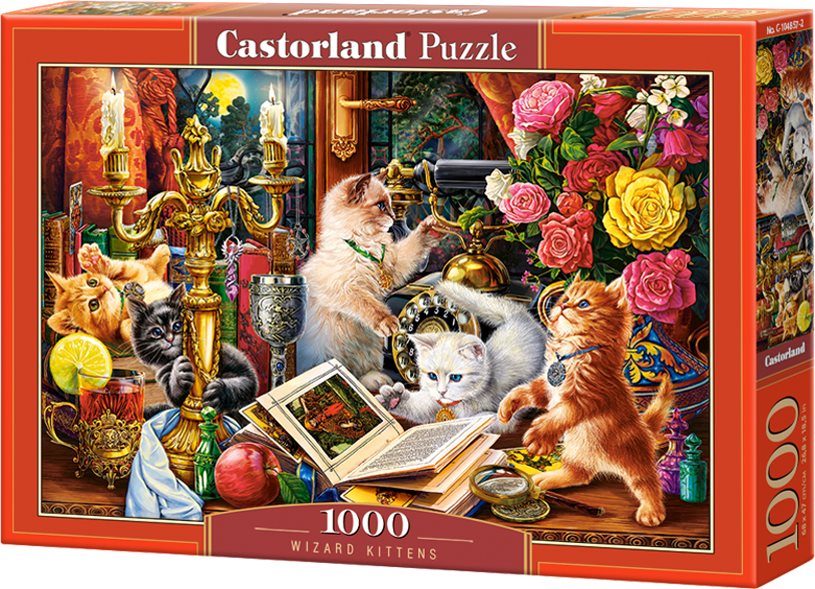 Puzzle 1000 prvků Kouzelné kočky