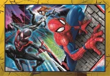 puzzle-spiderman-4v1-12162024-dilku-189425.jpg