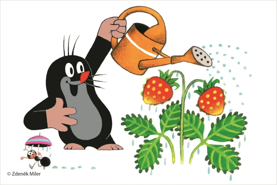DINO Obrázkové kostky Krtek, 6 kostek
