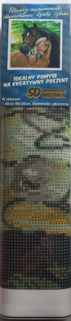 NORIMPEX Diamantové malování Koně 40x30cm