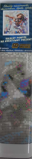 NORIMPEX Diamantové malování Houslistka 40x30cm
