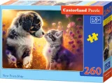 CASTORLAND Puzzle Nové přátelství 260 dílků