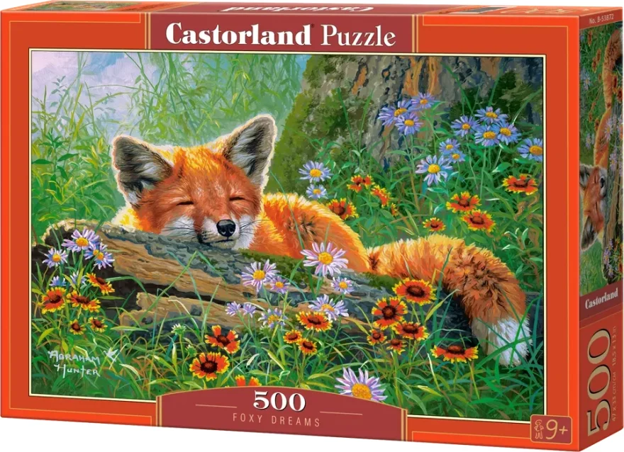 CASTORLAND Puzzle Liščí snění 500 dílků