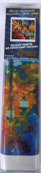 NORIMPEX Diamantové malování Procházka městem 40x30cm