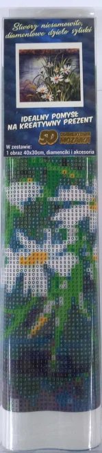 NORIMPEX Diamantové malování Kopretiny u vody 40x30cm