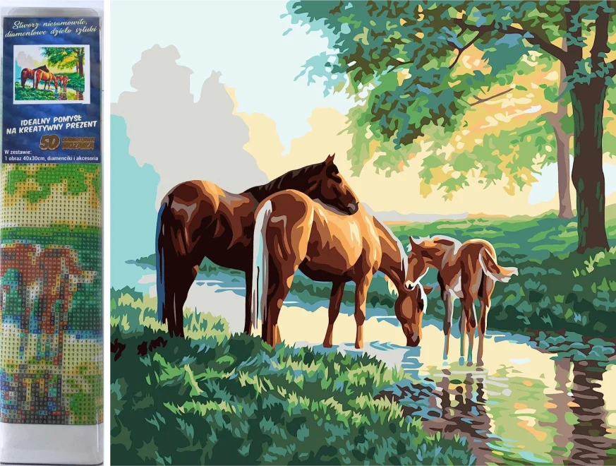 NORIMPEX Diamantové malování Koně u vody 40x30cm