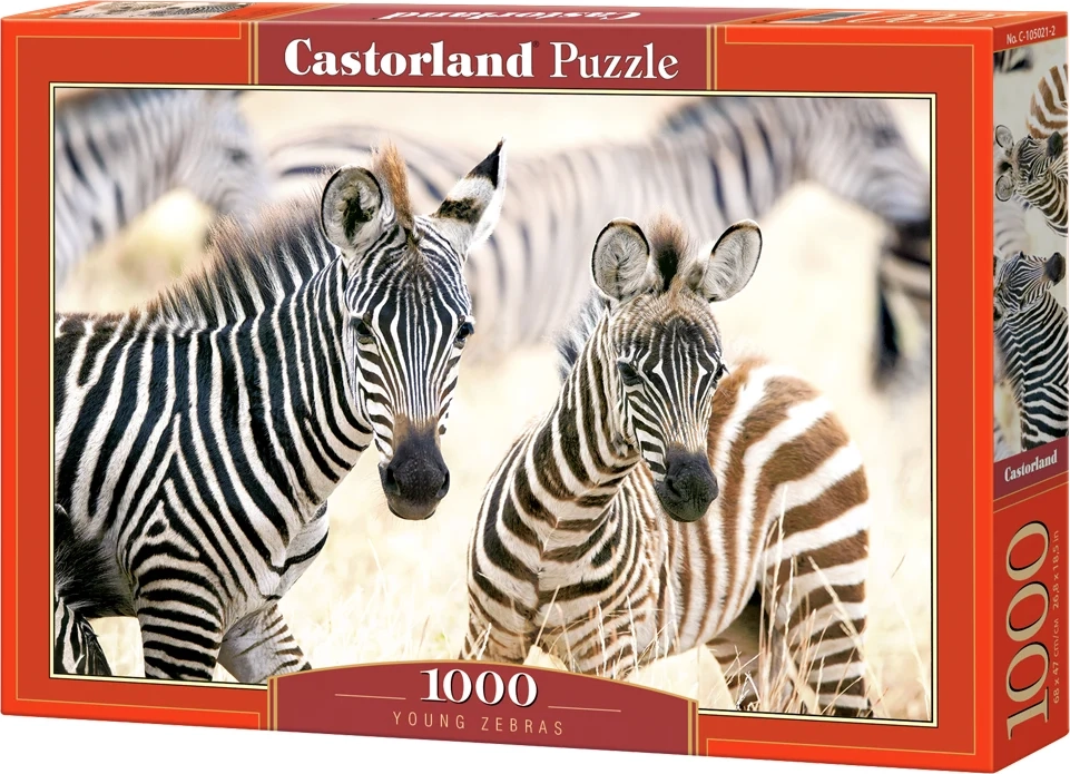 Castorland Mláďata zebry 1000 dílků