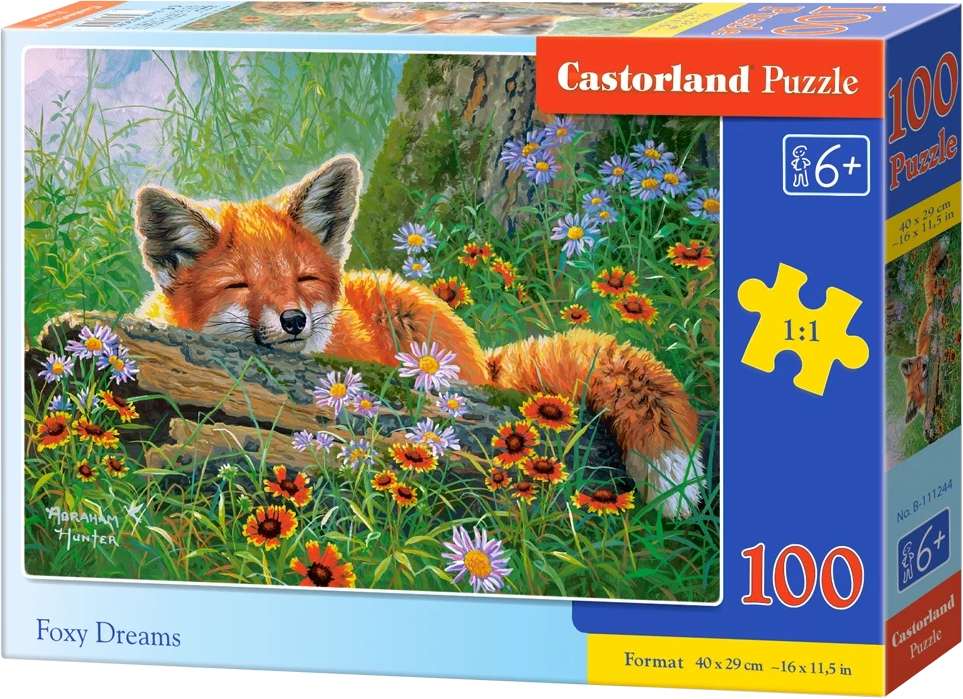 Castorland Liščí snění 100 dílků