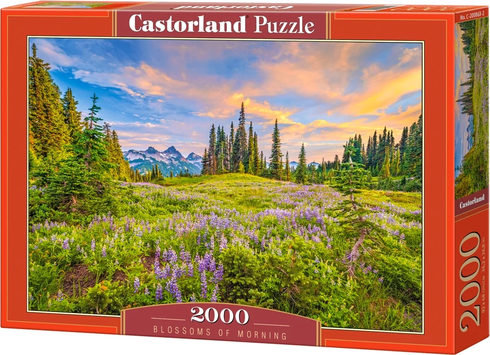 CASTORLAND Puzzle Ranní květy 2000 dílků