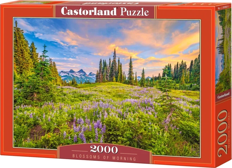 CASTORLAND Puzzle Ranní květy 2000 dílků