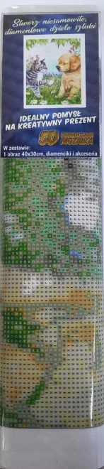 NORIMPEX Diamantové malování Štěně a kotě 40x30cm