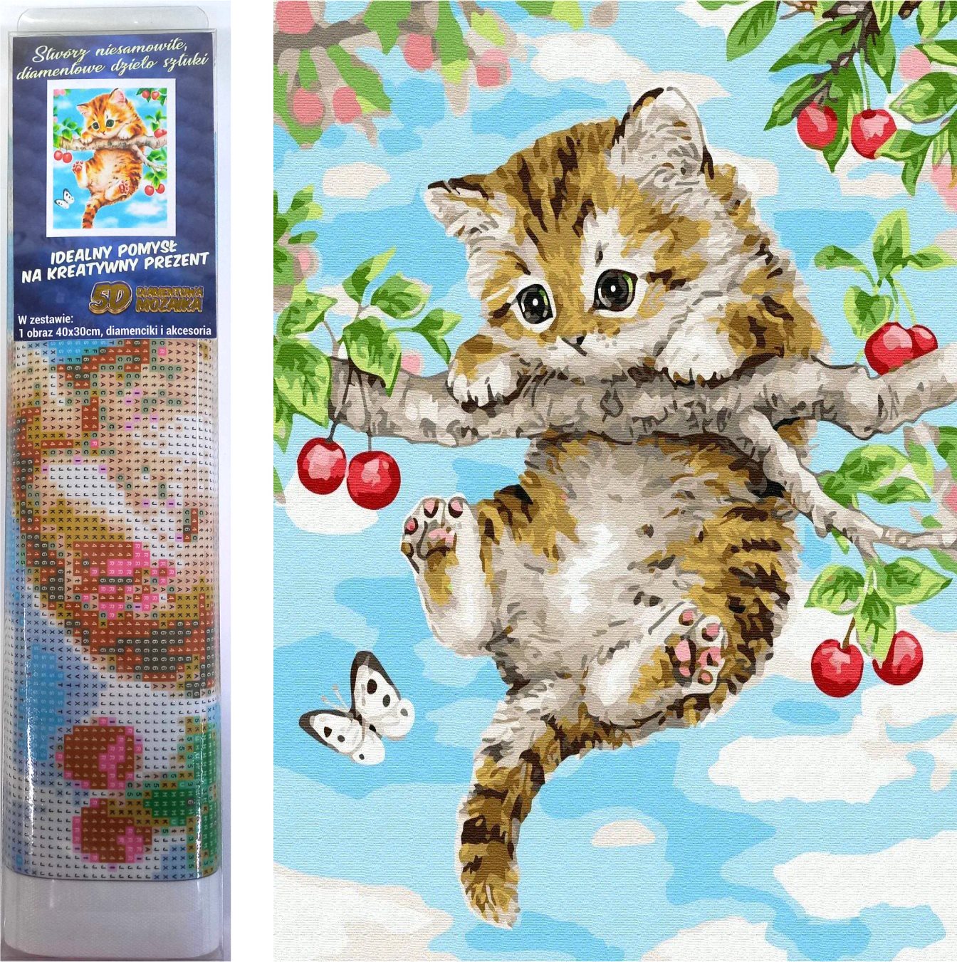NORIMPEX Diamantové malování Koťátko na třešni 40x30cm