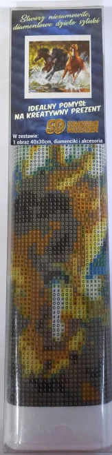 NORIMPEX Diamantové malování Koně v řece 40x30cm