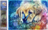 NORIMPEX Diamantové malování Pes s motýlem 40x30cm