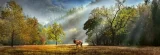 Heye Panoramatické puzzle Ranní pozdrav 1000 dílků
