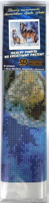 diamantove-malovani-vlci-volani-30x40cm-199137.jpg