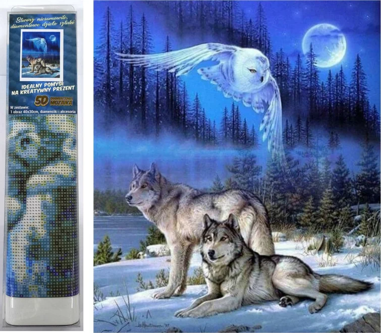 NORIMPEX Diamantové malování Divoký úplněk 40x30cm
