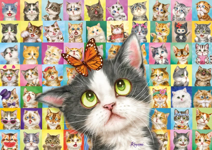 SCHMIDT Puzzle Kočičí výrazy 1000 dílků