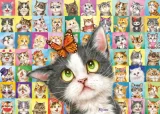 SCHMIDT Puzzle Kočičí výrazy 1000 dílků