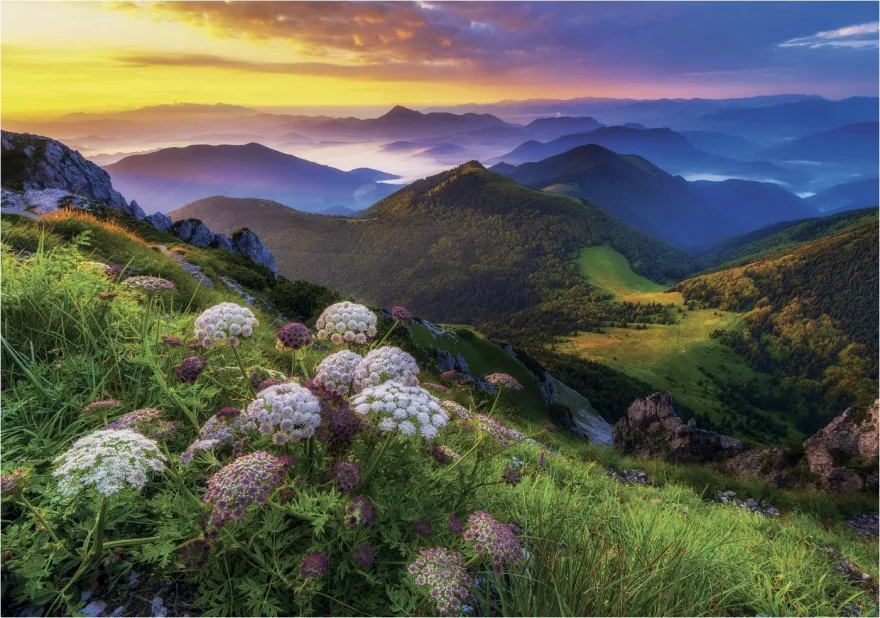 puzzle-mala-fatra-500-dilku-200978.jpg