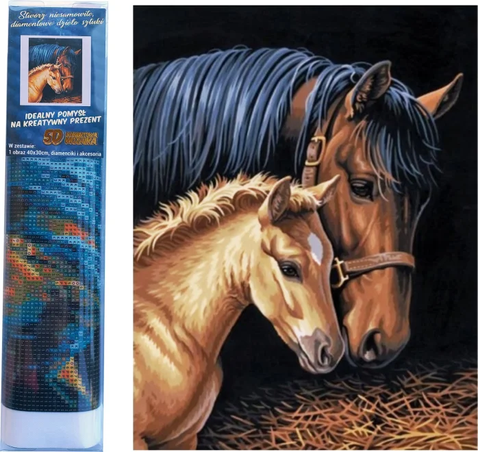 NORIMPEX Diamantové malování Klisna s hříbětem 40x30cm