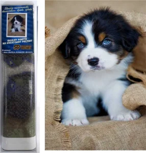 Diamantové malování Štěně bernardýna 40x30cm